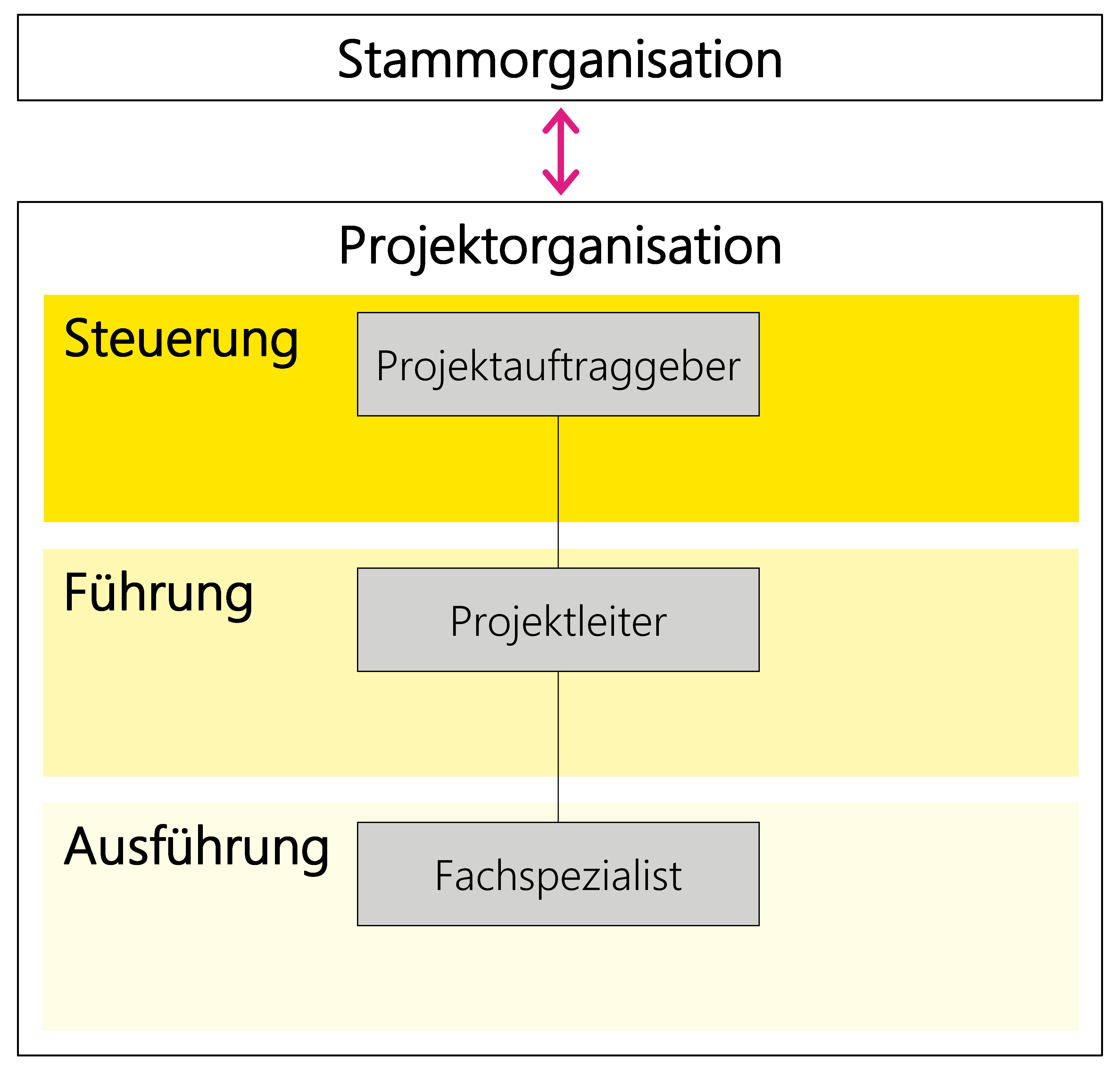 Abbildung 3: Beziehung der Stamm- und Projektorganisation